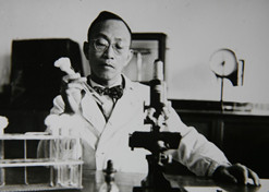 1955年，湯飛凡主持的沙眼研究小組分離出世界上第一株“沙眼衣原體”，命名為TE8，后在國際醫(yī)學(xué)界引起巨大反響