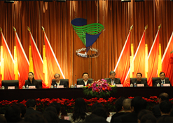2010年12月，中出服、國藥外貿(mào)和中衛(wèi)合作共同組建中國國際醫(yī)藥衛(wèi)生公司（簡稱國藥國際）。